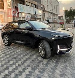 شانجان يوني كي